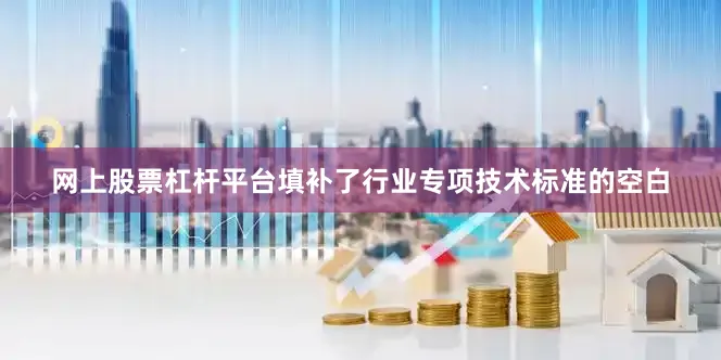 网上股票杠杆平台填补了行业专项技术标准的空白